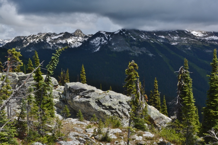 on Mt. Revelstoke